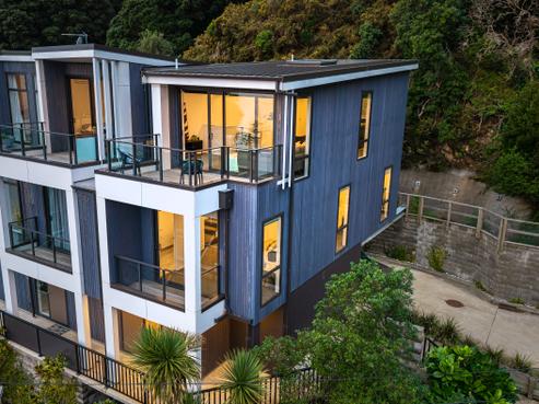 1C Wilkinson Street, Oriental Bay