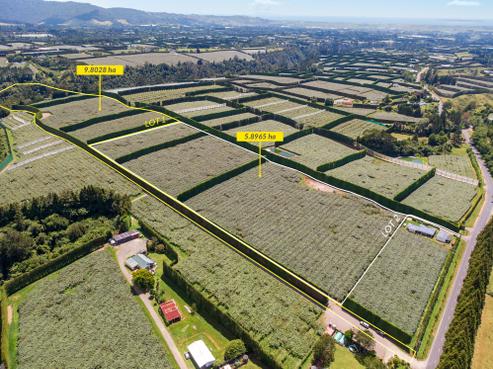 900 Te Matai Road, Te Puke