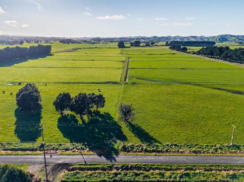 40 Bowman Road, Woodville