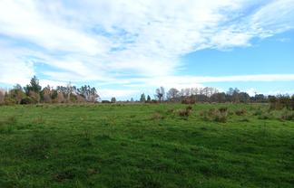 Lot 1/174 Powerhouse Road, Westport
