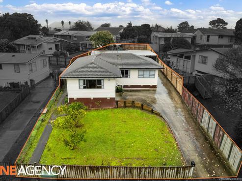 12 Mckinstry Avenue, Mangere East
