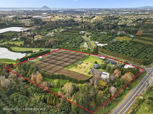 11 Gill Lane, Whakamarama