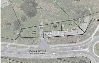 121 Poplar Avenue, Raumati South