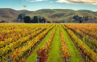  State Highway 50, Roys Hill