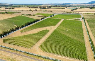 139 Mackenzies Road, Waipara