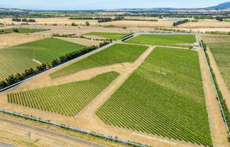 139 Mackenzies Road, Waipara