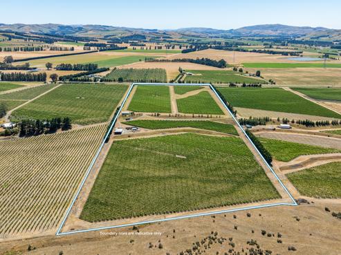 139 Mackenzies Road, Waipara