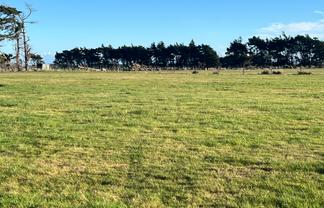 1169 Motu Rimu Road, Motu Rimu