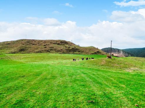 3789 State Highway 4, Waimiha-Ongarue