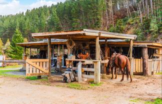 3789 State Highway 4, Ongarue