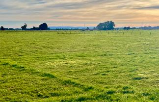 35 Wilson Road South, Motu Rimu