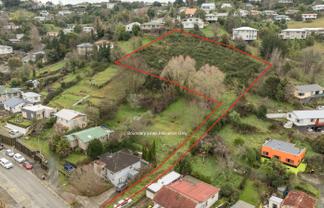 117 Toi Toi Street, Toi Toi