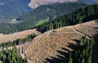  Te Moana Road, Geraldine