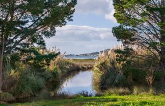 275 Athenree Road, Katikati