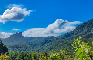 694 The 309 Road, Waiau, Coromandel