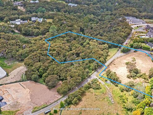 241 Lonely Track Road, Albany Heights