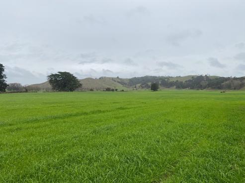 69 Kelly Road, Waerenga