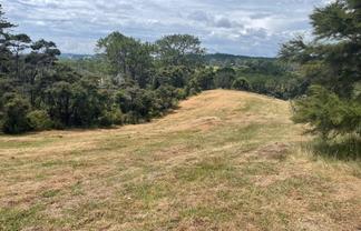 51 Drury Lane, Dairy Flat