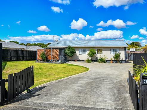 44 Hooper Avenue, Pukekohe