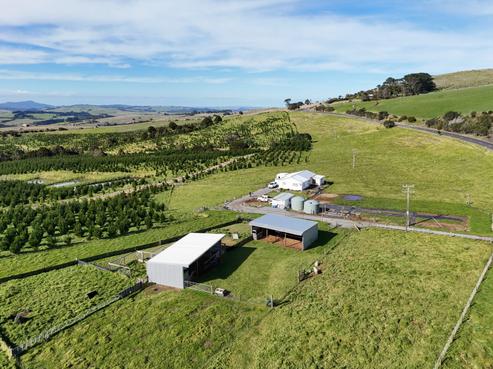 4478 State Highway 12, Dargaville Surrounds