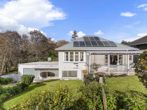 22 Larsen Road, Panmure