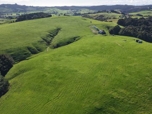256 McIntyre Road, Kawakawa