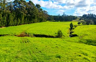  Larmer Road, Kaitaia