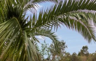 45, 49 and End Farm Road , Waikanae