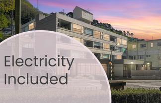 101/20 Glenmore Street, Thorndon