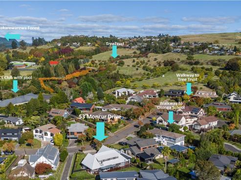 53 Moncur Drive, Springfield