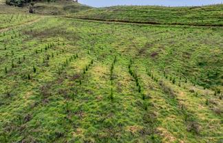  Makahu Forest, Stratford
