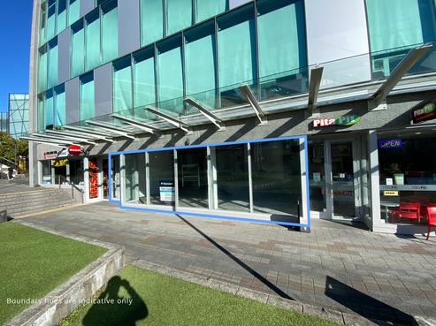 109 Ward Street, Hamilton Central