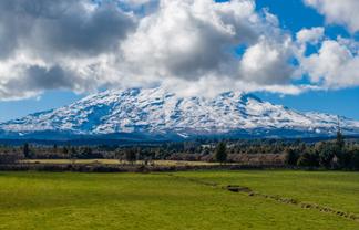 Lot 10, 136 Matapuna Road, Horopito