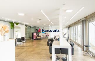 Stunning Takapuna Office 