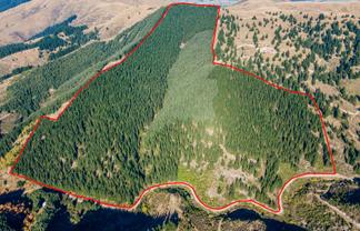 2381 Te Moana Road, Kakahu