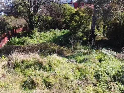 21 Currie Street, Port Chalmers
