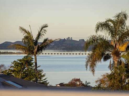 75A Thirteenth Avenue, Tauranga South