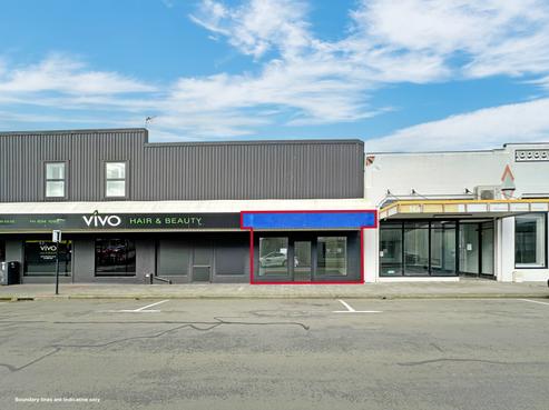 112 Dalton Street, Napier South