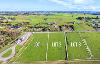 161, 167, 169 Gladstone Road, LEVIN