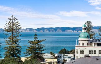 61/3 Shakespeare Road, Napier South