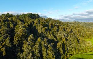 LOT 1 Granite Creek Road, Karamea