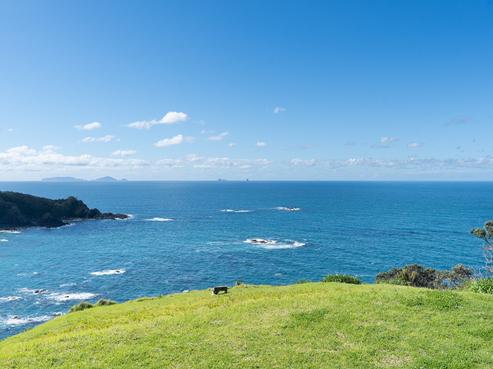 49 Dolphin Place, Tutukaka