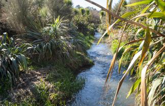 351 Scotsman Valley Road, Tauwhare