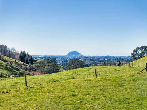 164C Crawford Road, Wairoa