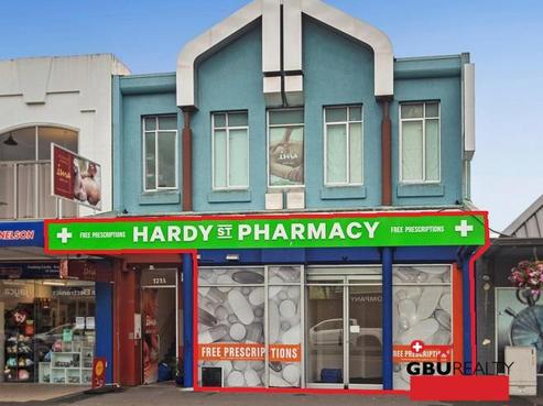 131 Hardy Street, Nelson City
