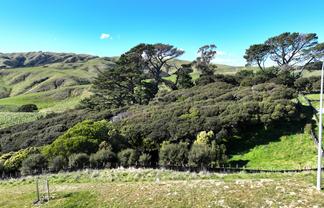 35/70 Mo Street, Plimmerton Heights, Camborne