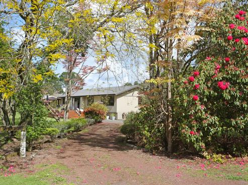 154 Waipipi Wharf Road, Pollok