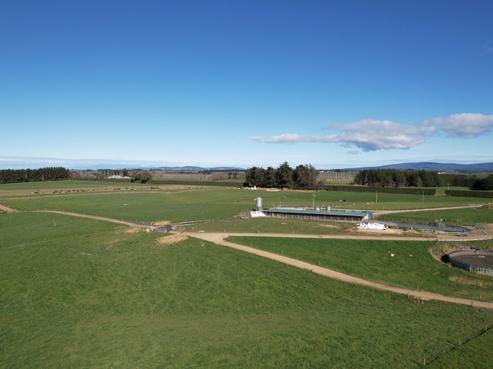 169 Hamilton Road, Otautau