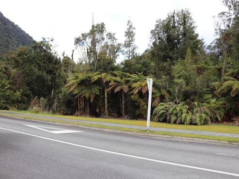 88 Cron Street, Franz Josef Glacier