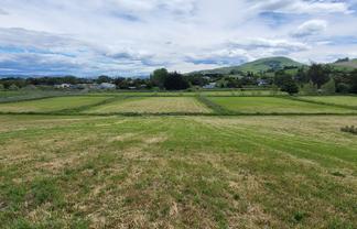 35 Edinburgh Street, Waikouaiti